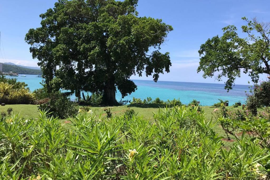 Contemporary Ocean View 2Bed Carib Ocho Rios Condo Buitenkant foto